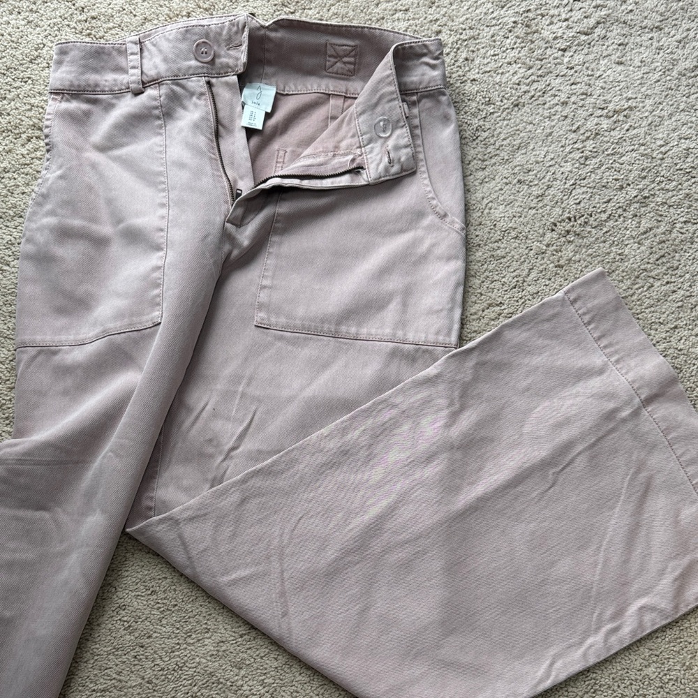 Joie Women's Wide Leg Pants in Light Mauve